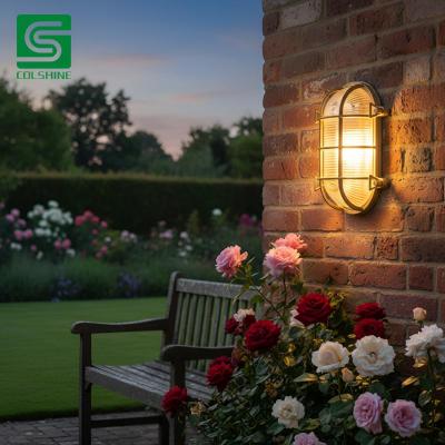 LED wall-mounted brass light