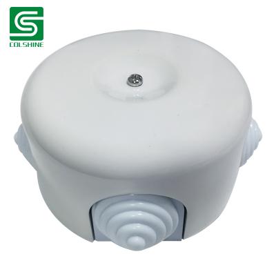 Porcelain Ceiling Rose E27