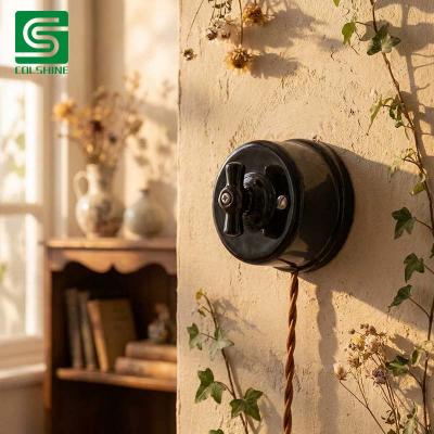  Retro porcelain toggle switch