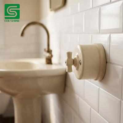 Porcelain Control Switch